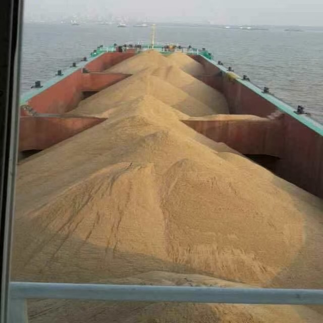  www.船舶交易.com·船舶交易网货船·散货船 南通运维处找船,找货网,船舶寄售,船舶求购发布,开具船舶交易发票二手船舶信息2015年126米15928吨货船货船·散货船找船,找货网,船舶寄售,船舶求购发布,开具船舶交易发票 